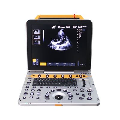Sistema de ultrasonido Doppler de color veterinario portátil de 15 pulgadas P60V para clínicas de animales pequeños