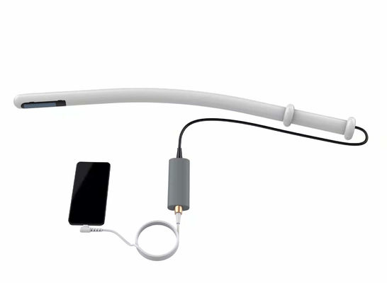 comprar ultrasonido portátil veterinario del veterinario 8MHz para los bóvidos equinos online manufacture