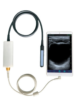 comprar Escáner de ultrasonido veterinario portátil con sonda rectal lineal para reproducción bovina y equina online manufacture