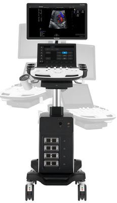 comprar élite de Sonoscape Echo Machine P11 de la carretilla 5D con 4 conectores del transductor online manufacture