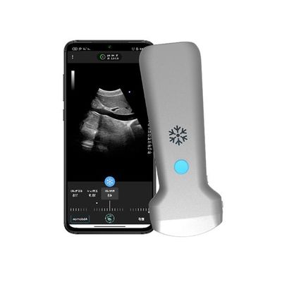 comprar Escáner de ultrasonido portátil convexo inalámbrico ISO13485 | Sonda de ultrasonido Doppler color portátil online manufacture