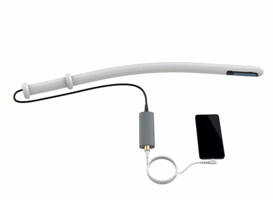 comprar Máquina bovina 4.0MHz 6.0MHz 8.0MHz del ultrasonido del sistema veterinario del ultrasonido online manufacture