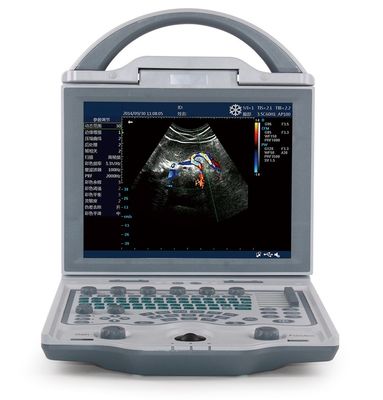 comprar 10,4” máquinas portátiles del ultrasonido del ultrasonido veterinario de la pantalla LED para los cerdos 4.5KG online manufacture