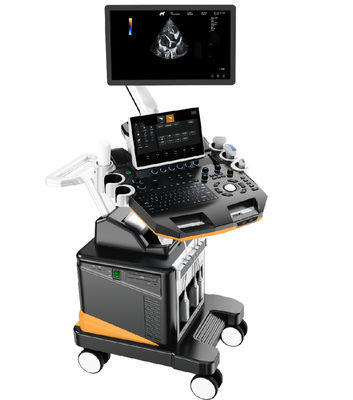 comprar Máquina de ultrasonido veterinario Doppler color 3D/4D, sistema profesional de imágenes de animales pequeños con pantalla LCD de 21,5 pulgadas online manufacture