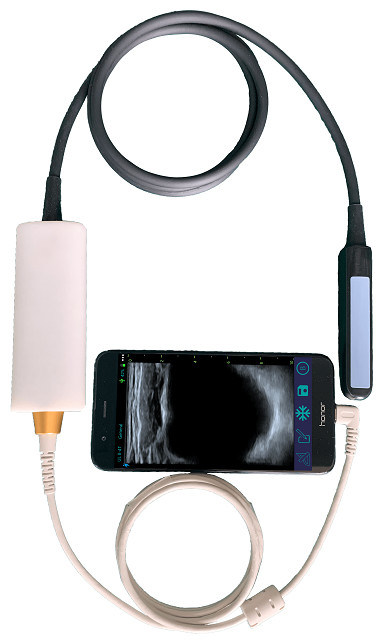 Escáner de ultrasonido veterinario portátil con sonda rectal lineal para reproducción bovina y equina