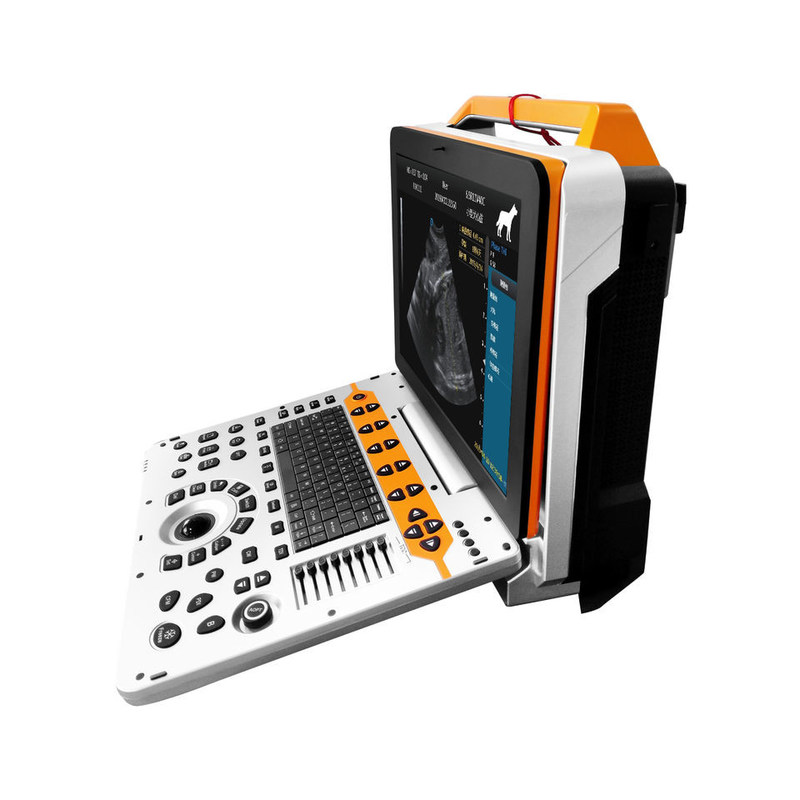 Sistema de ultrasonido Doppler de color veterinario portátil de 15 pulgadas P60V para clínicas de animales pequeños